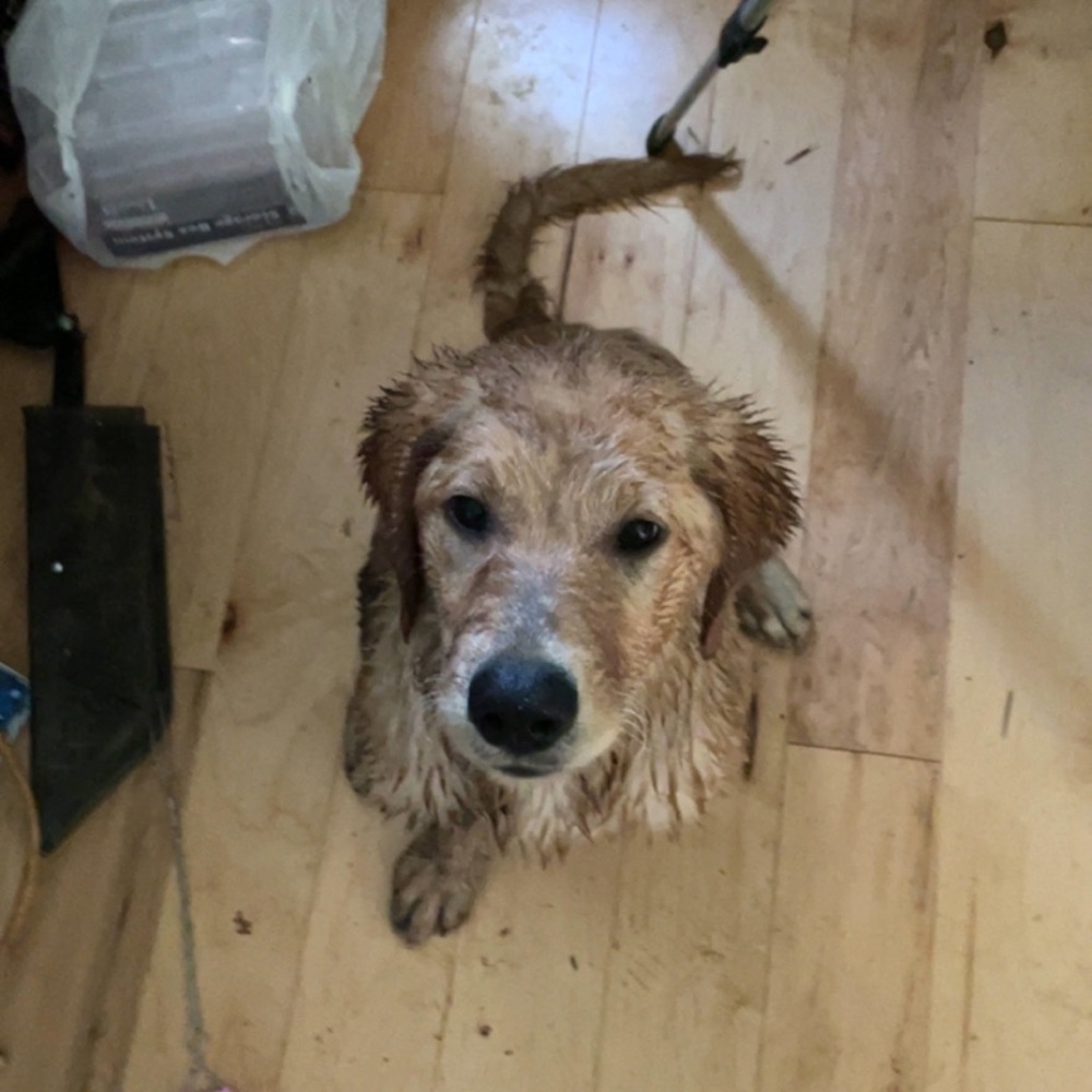 Meet your Posher, Kira